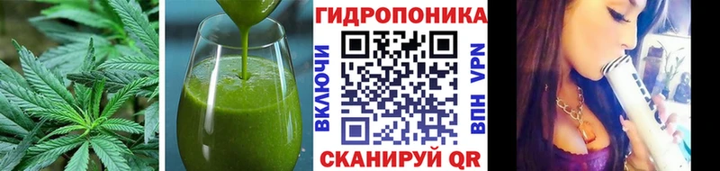 Купить где  Томари  Cannafood конопля 